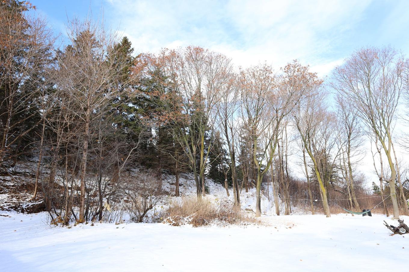 Backyard - 46 Route 132 E., Saint-Denis-De La Bouteillerie, QC - Outdoor With View