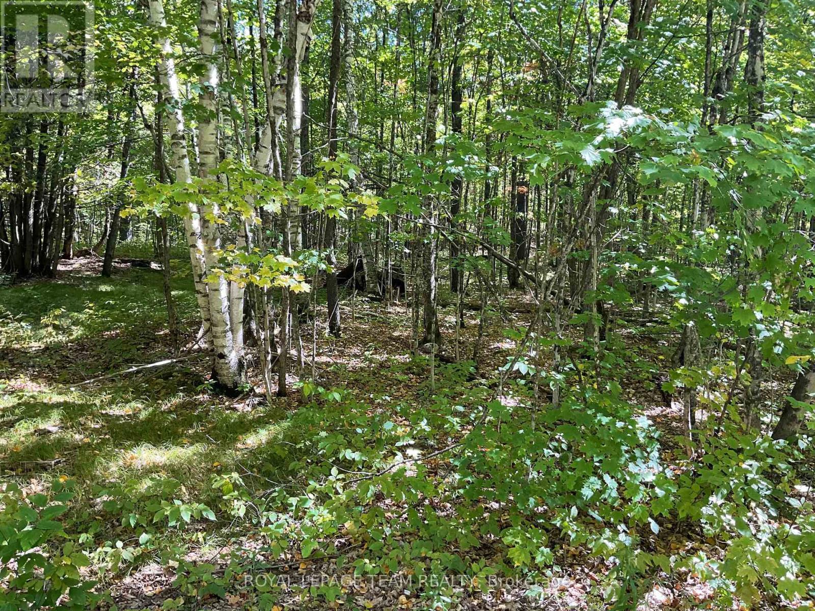 188 Con 9 Road, Lanark Highlands, ON