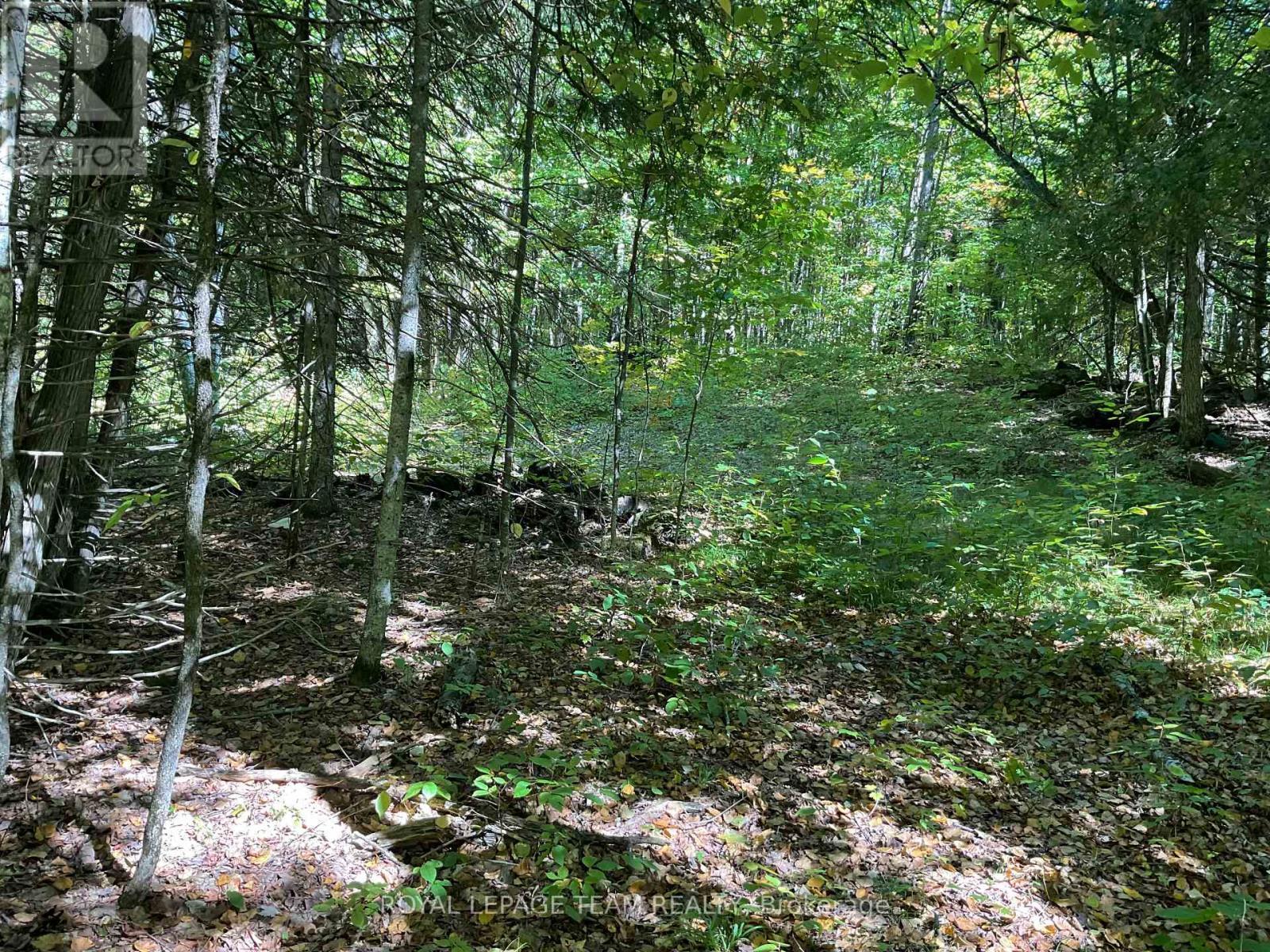 188 Con 9 Road, Lanark Highlands, ON