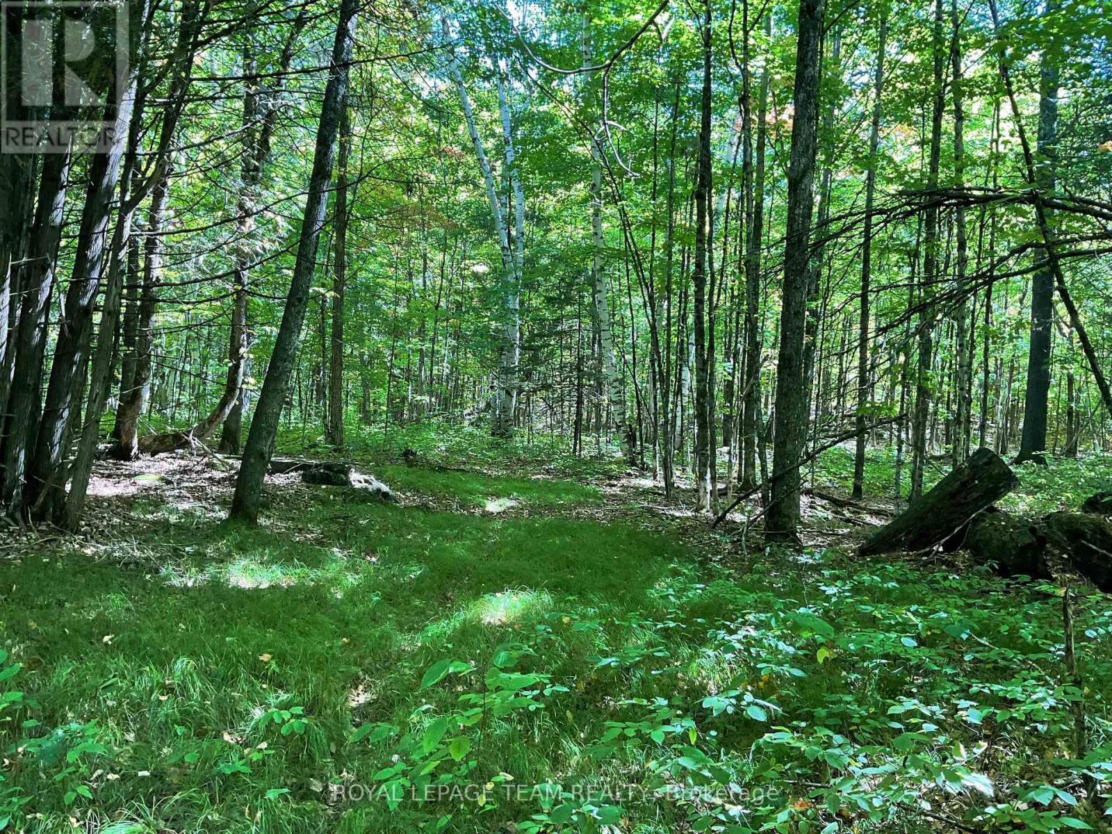 188 Con 9 Road, Lanark Highlands, ON