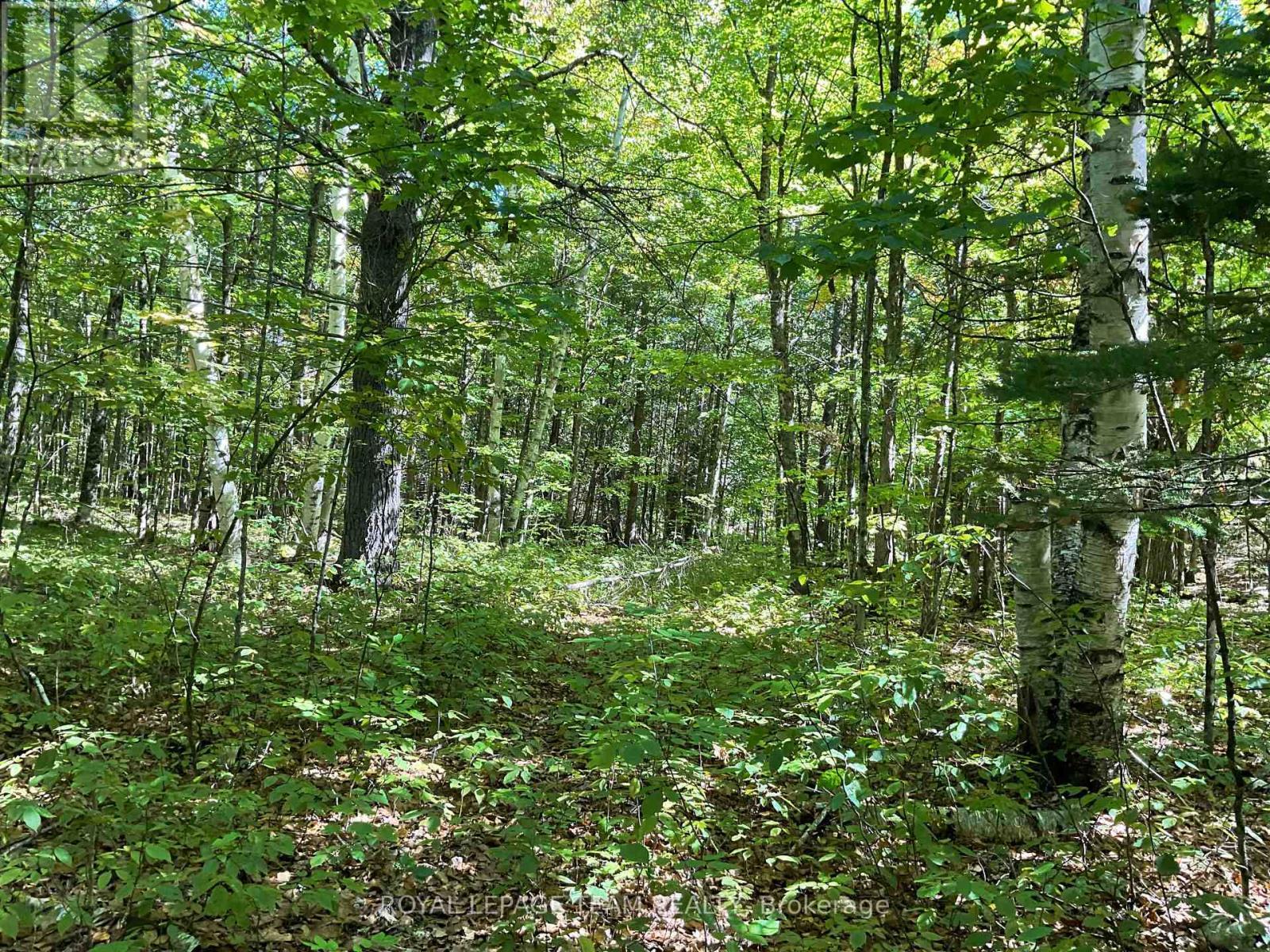 188 Con 9 Road, Lanark Highlands, ON