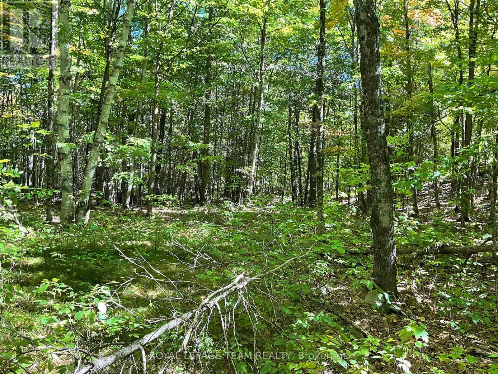 188 Con 9 Road, Lanark Highlands, ON