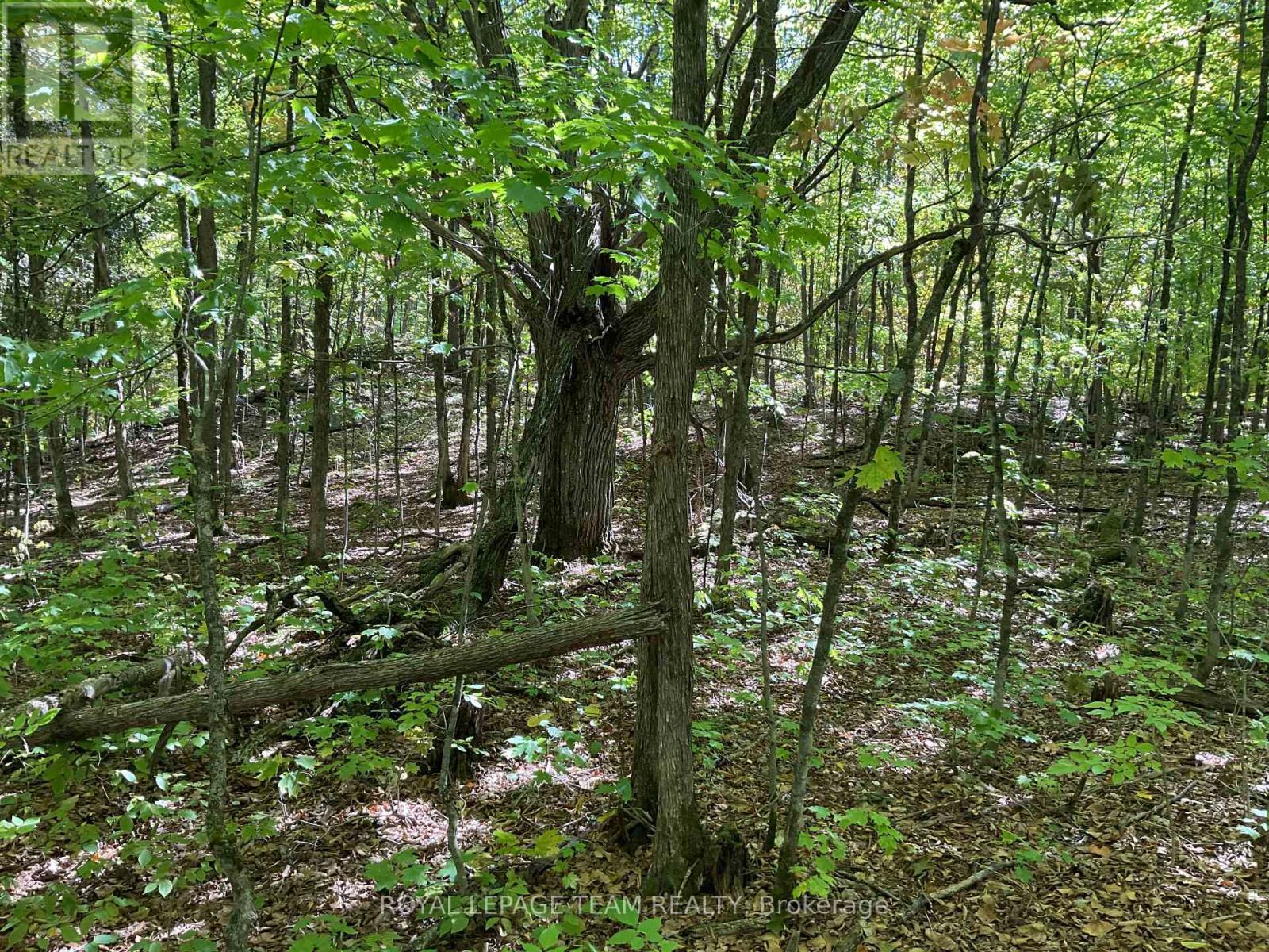 188 Con 9 Road, Lanark Highlands, ON