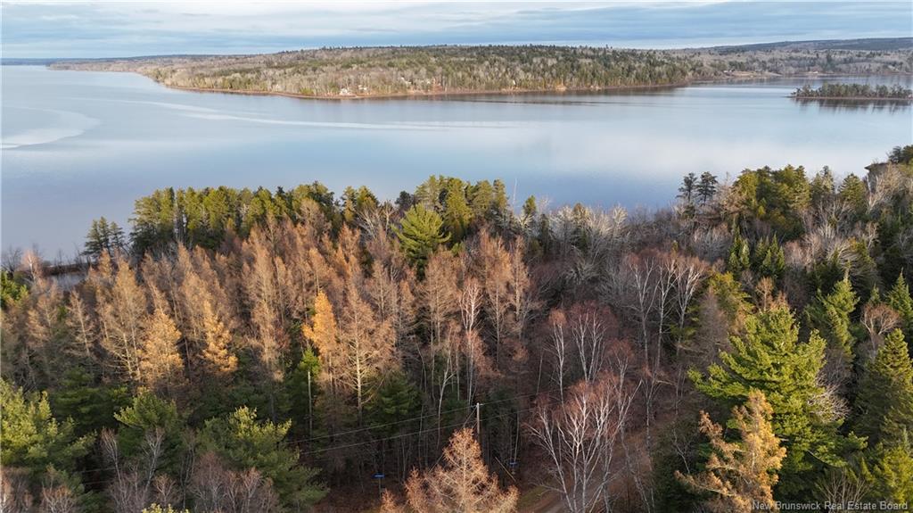 - Owl Cove Lane, Big Cove, NB