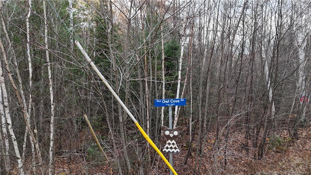 - Owl Cove Lane, Big Cove, NB