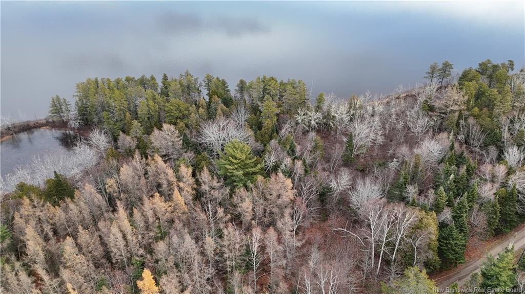 - Owl Cove Lane, Big Cove, NB