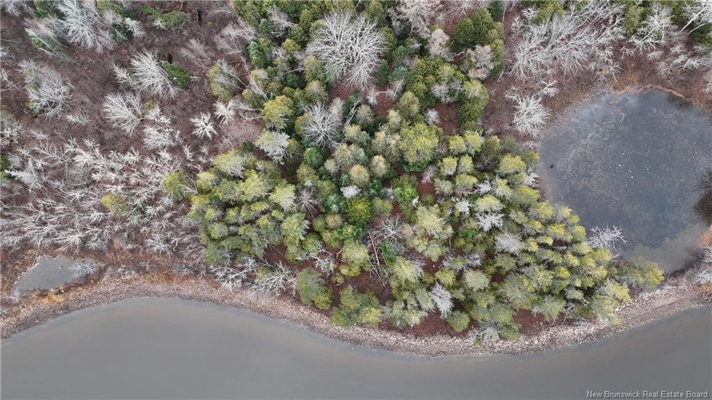 - Owl Cove Lane, Big Cove, NB