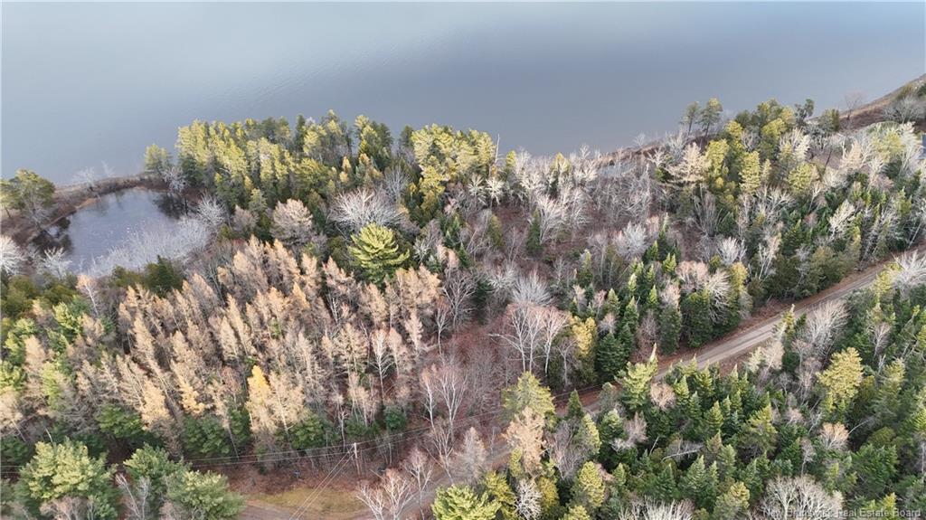 - Owl Cove Lane, Big Cove, NB