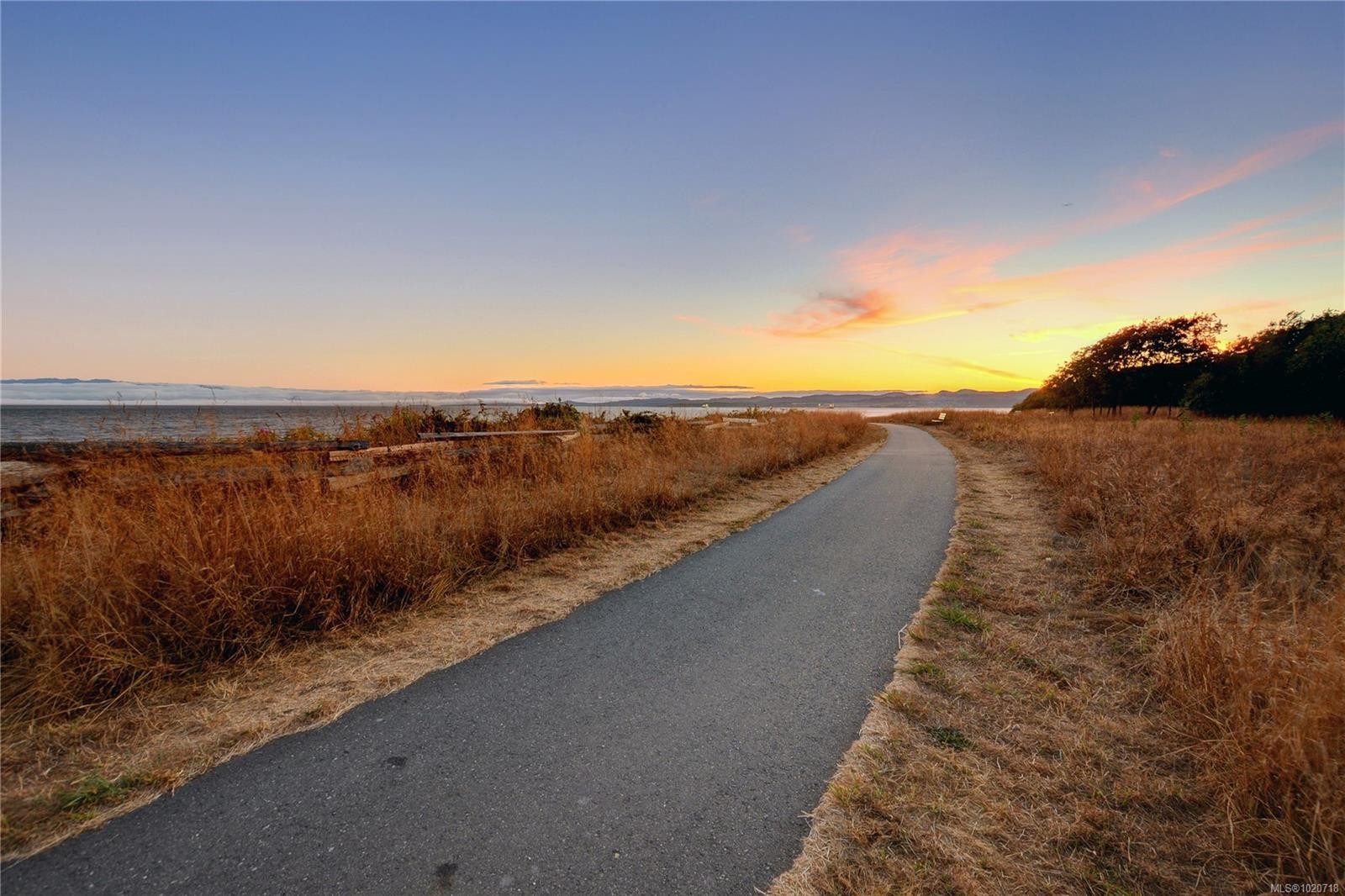 1124 Dallas Rd, Victoria, BC - Outdoor With View