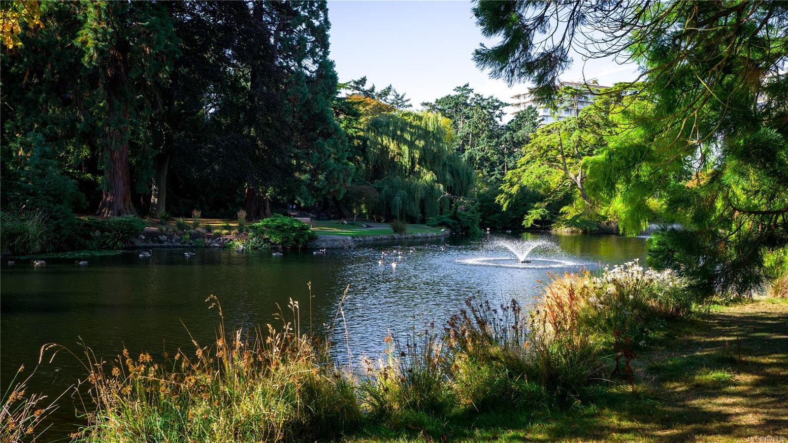 1124 Dallas Rd, Victoria, BC - Outdoor With Body Of Water