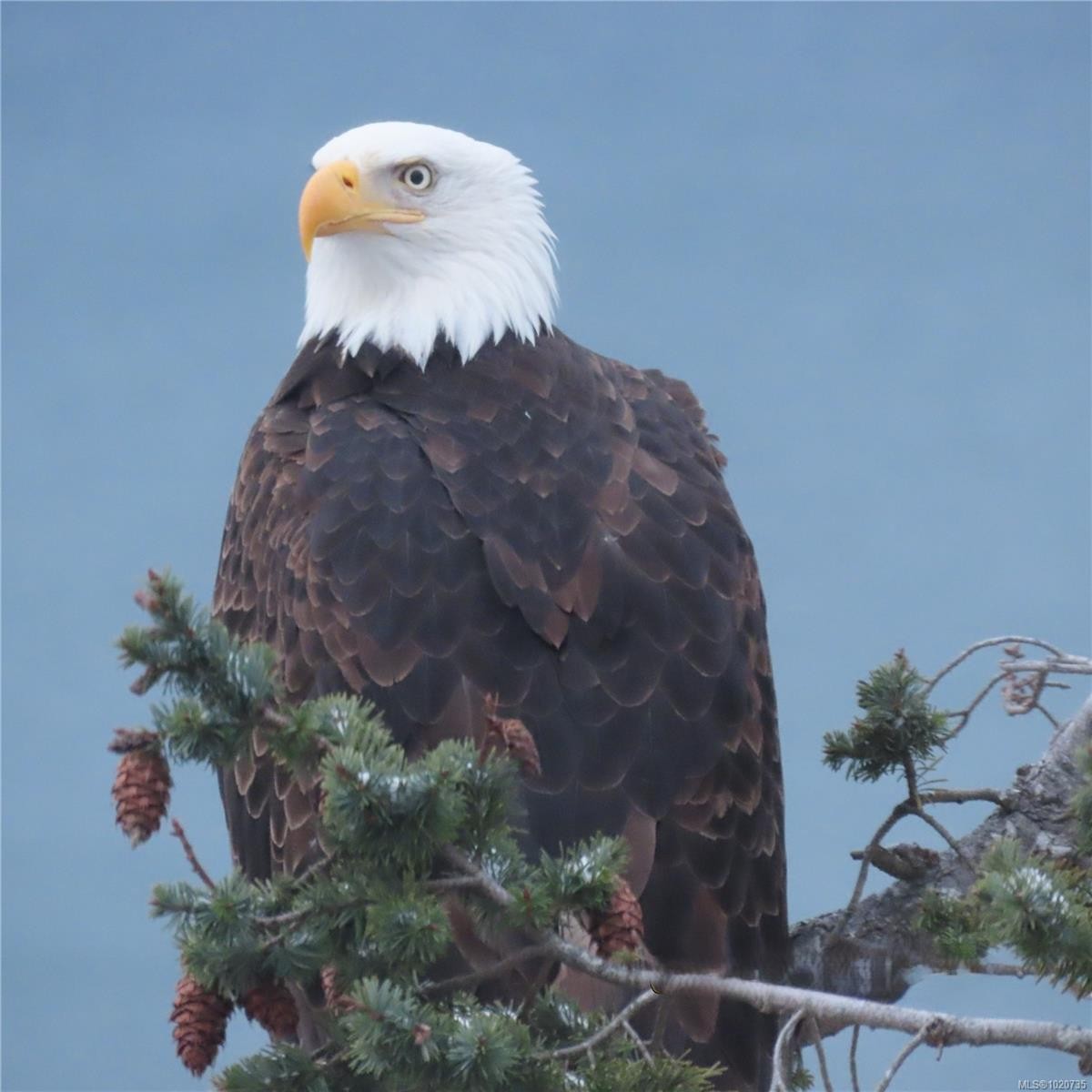 37189 Schooner Way, Pender Island, BC