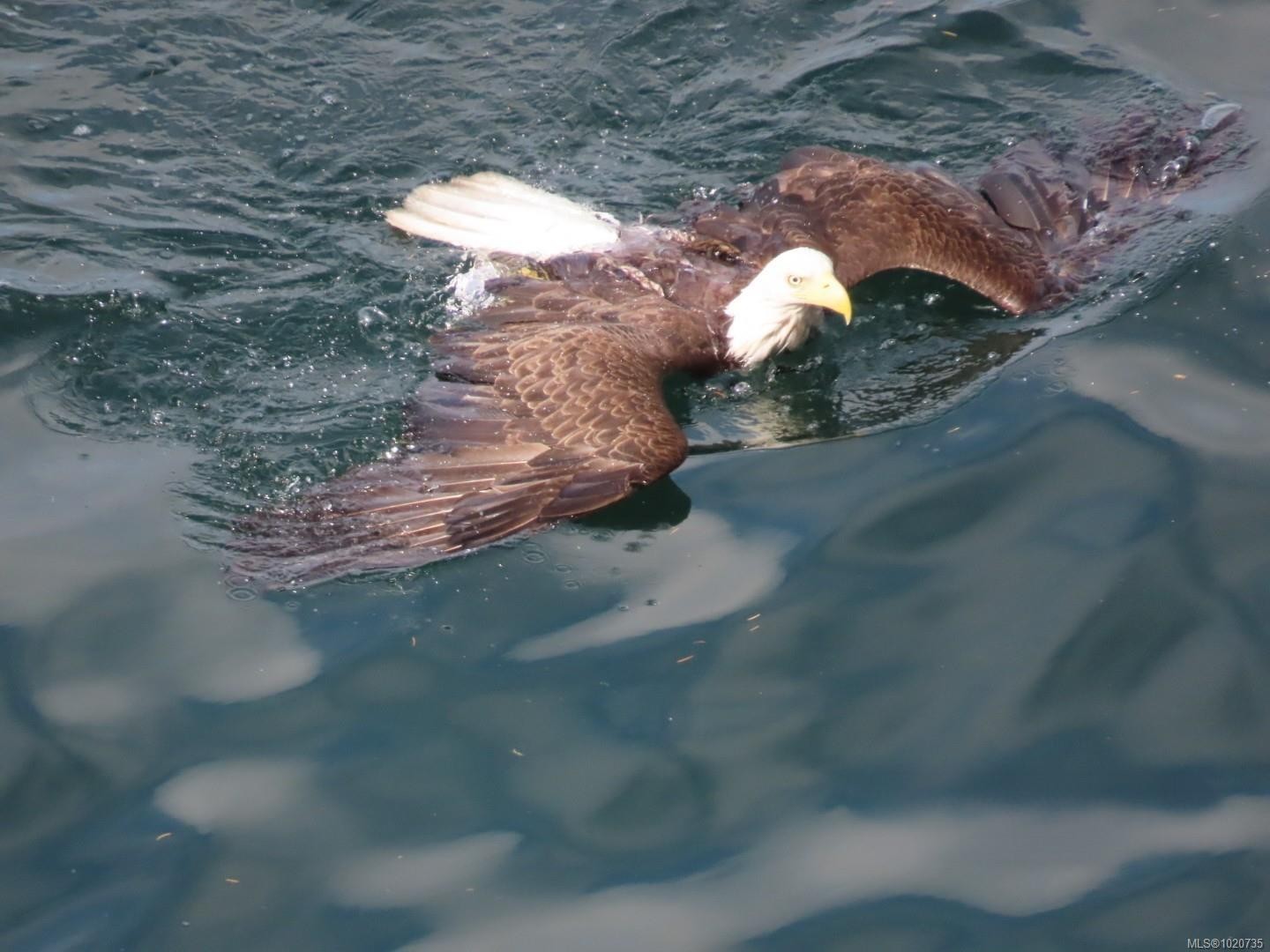 37189 Schooner Way, Pender Island, BC