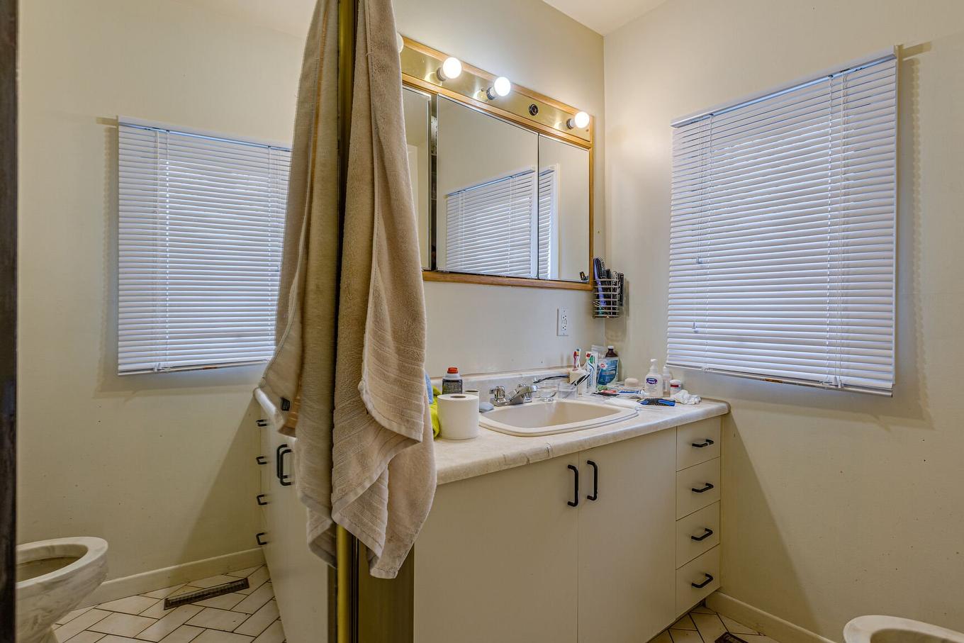 Salle de bains - 53 61E Avenue, Saint-Eustache, QC - Indoor Photo Showing Bathroom