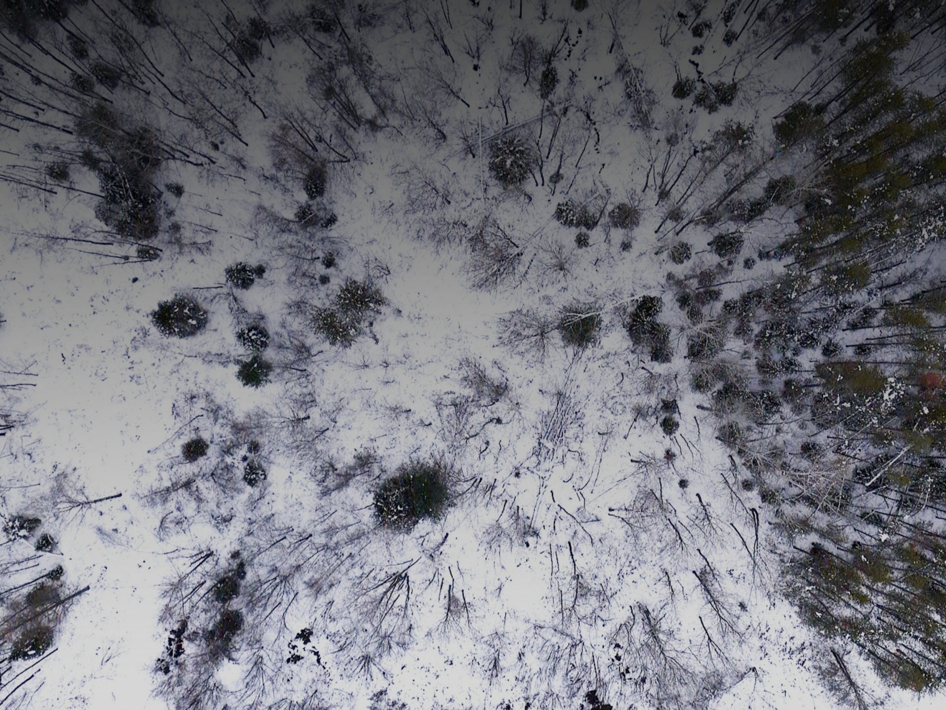 To be built - 1 Route 352, Saint-Adelphe, QC