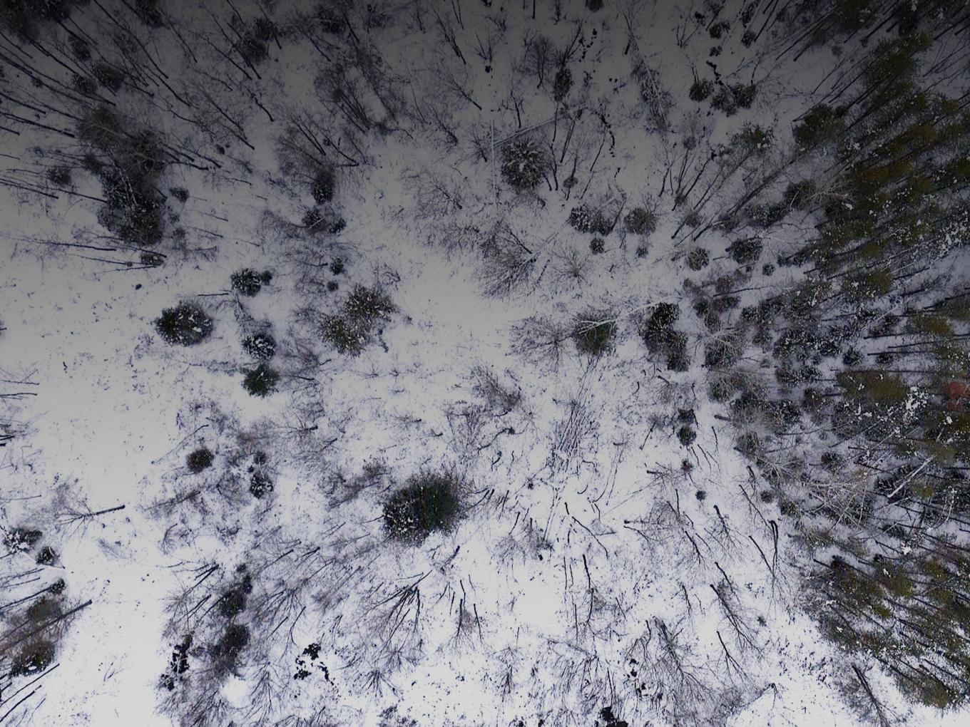 To be built - 1 Route 352, Saint-Adelphe, QC