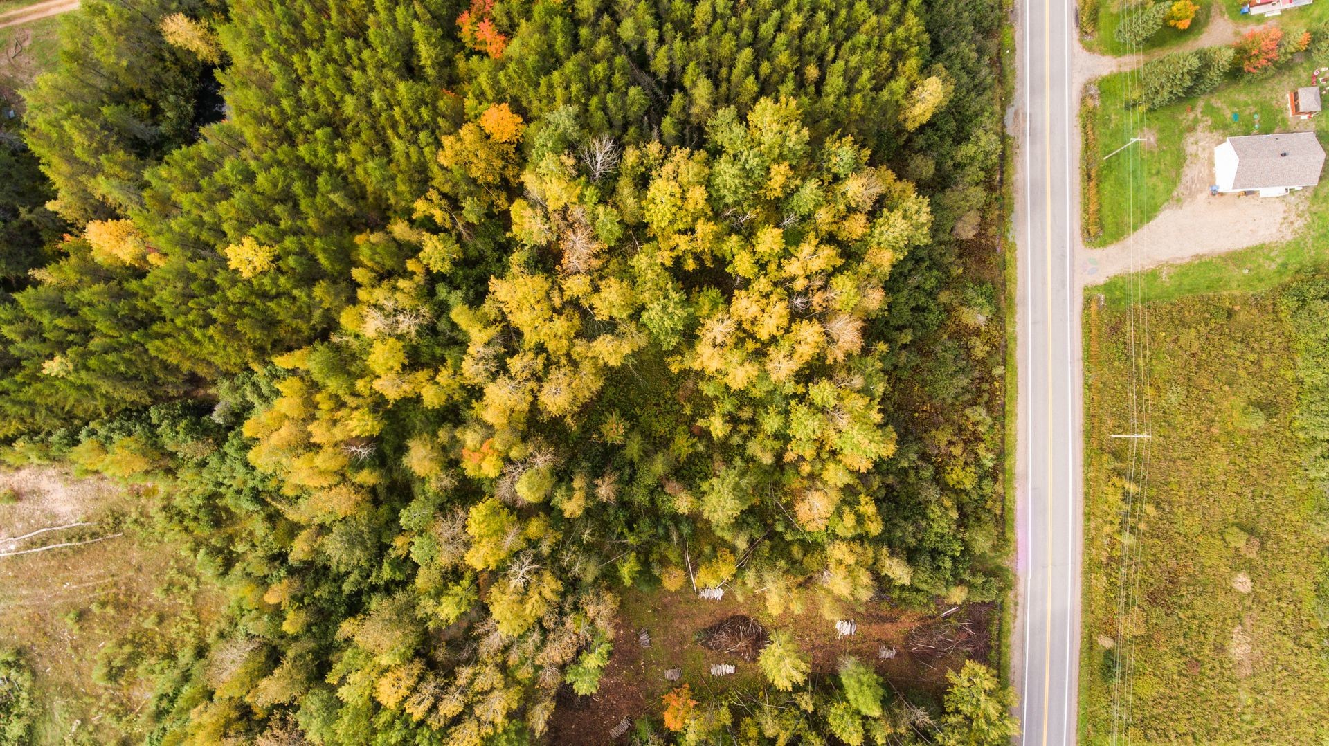 View - 1 Route 352, Saint-Adelphe, QC