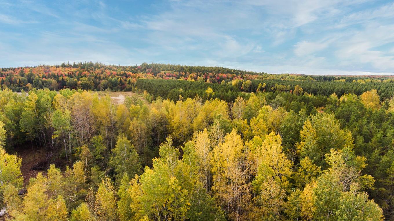 View - 1 Route 352, Saint-Adelphe, QC