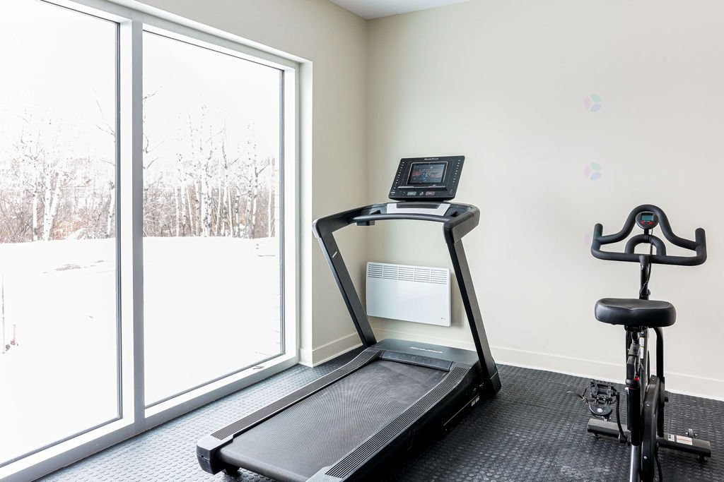 Salle d'exercice - 101-555 - 565 Rue René-Lecavalier, Terrebonne (Terrebonne), QC - Indoor Photo Showing Gym Room