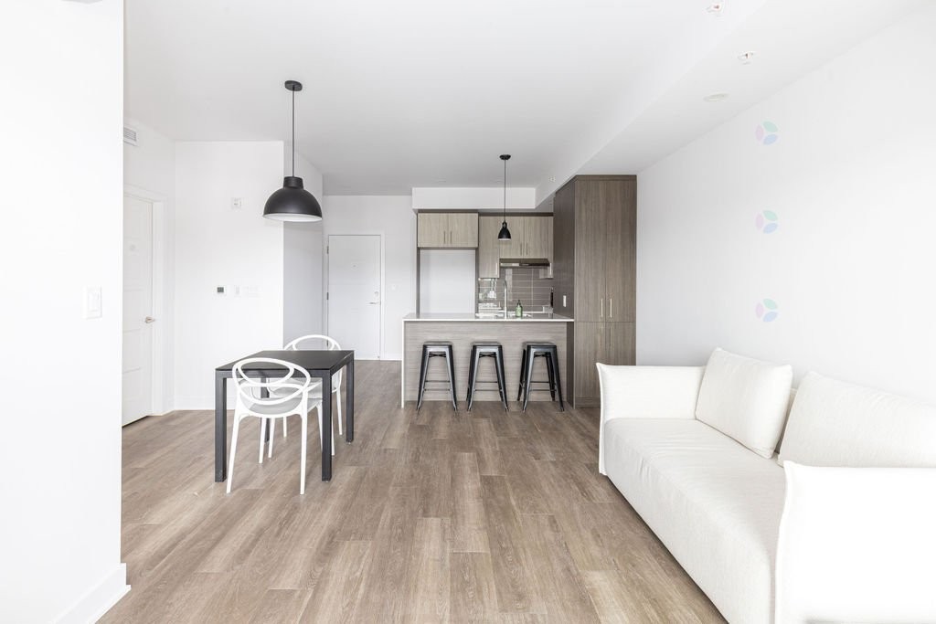 Salon - 101-555 - 565 Rue René-Lecavalier, Terrebonne (Terrebonne), QC - Indoor Photo Showing Living Room