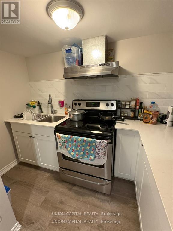 38 Ward Avenue, Hamilton, ON - Indoor Photo Showing Kitchen With Double Sink