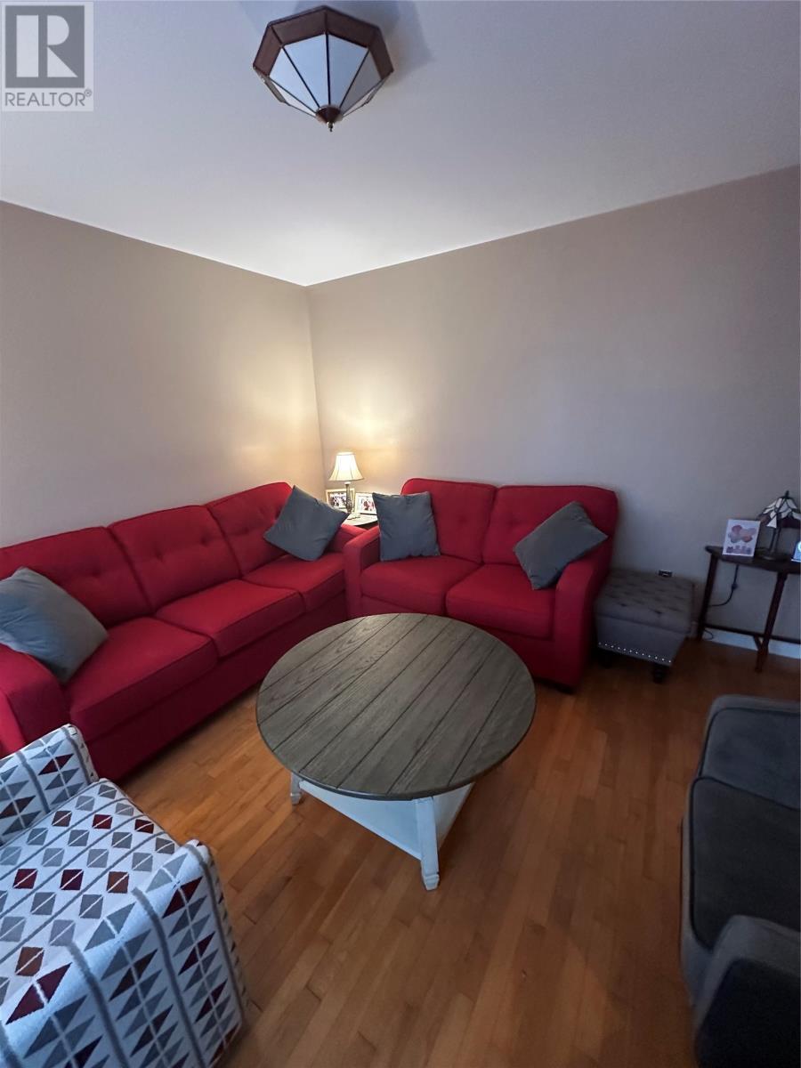 29 Ashgrove Drive, Paradise, NL - Indoor Photo Showing Living Room