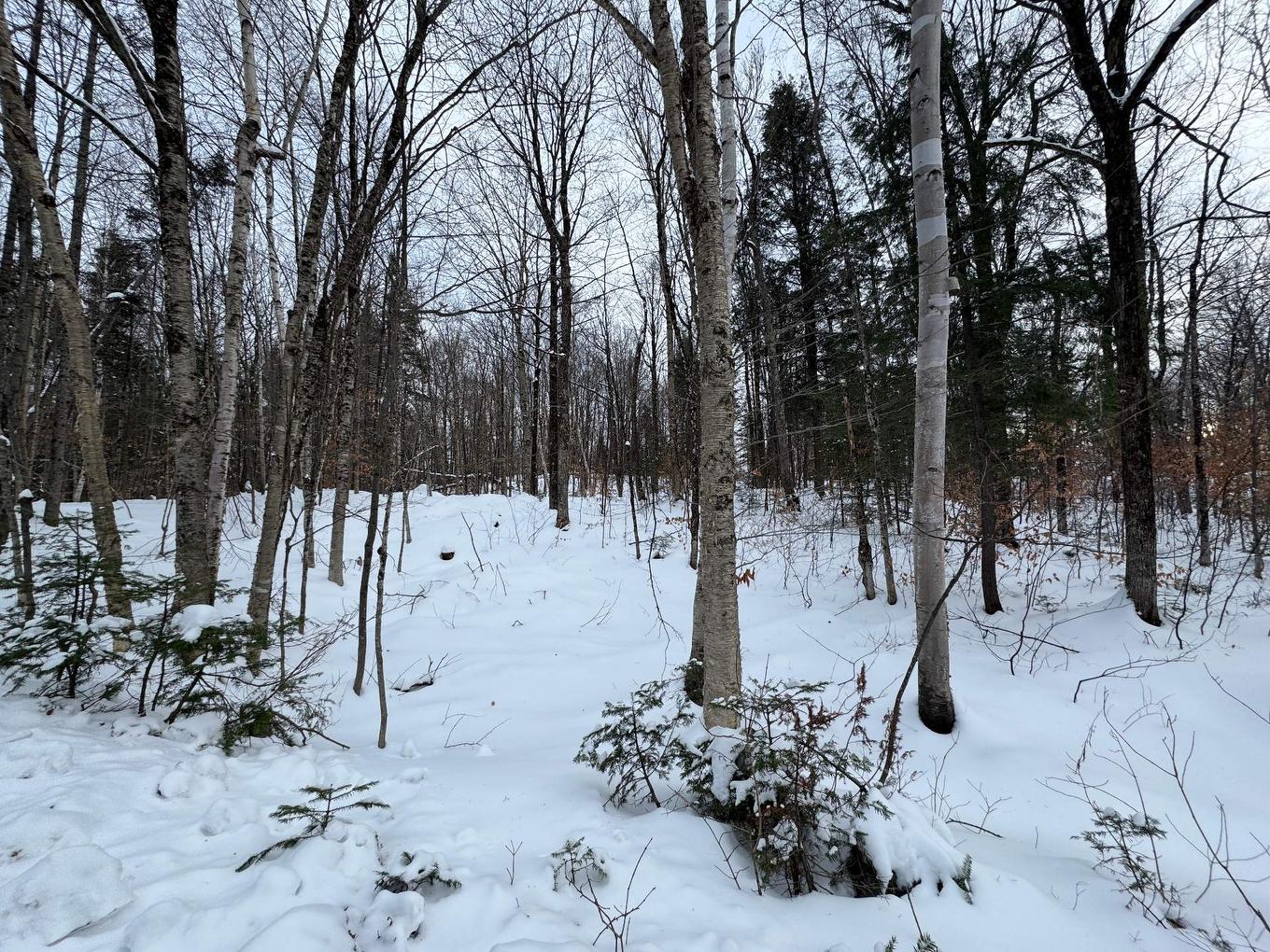 Land/Lot - Rue Des Violettes, Gore, QC