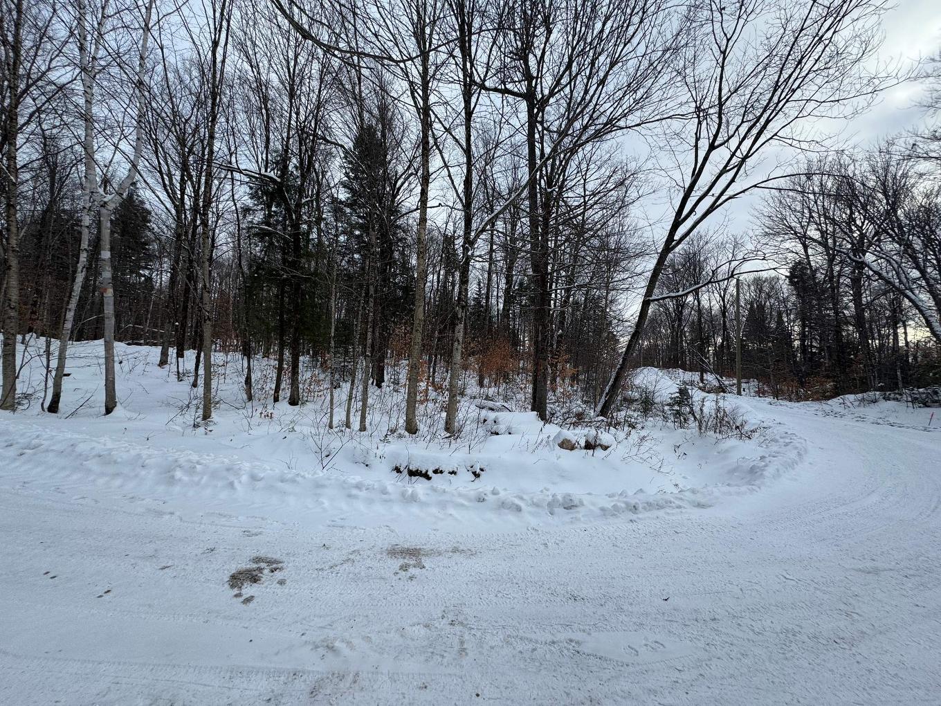 Land/Lot - Rue Des Violettes, Gore, QC