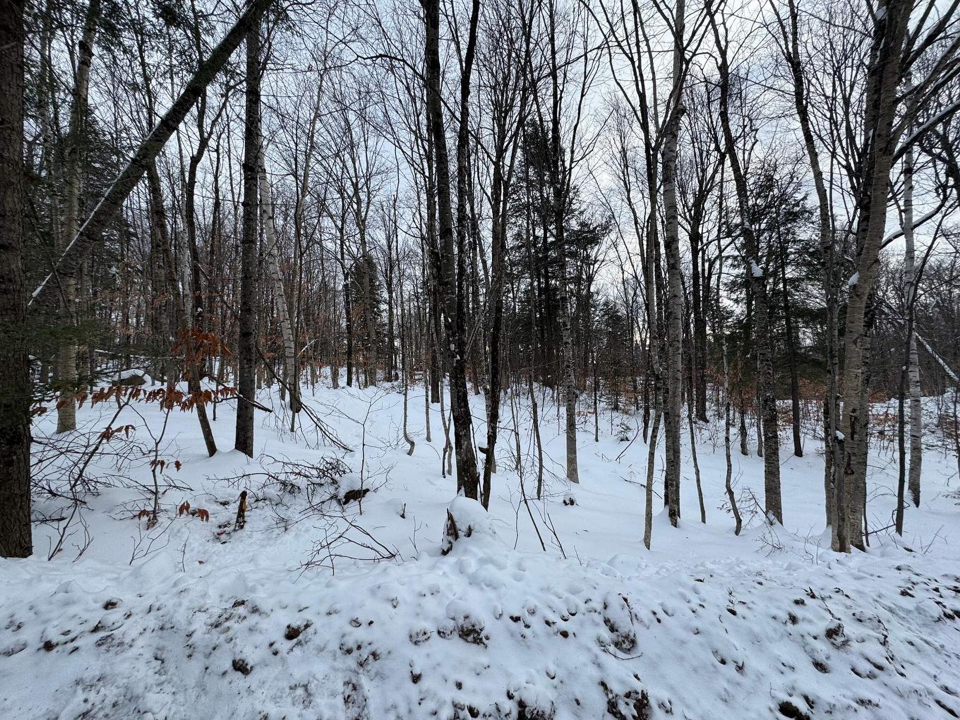 Land/Lot - Rue Des Violettes, Gore, QC