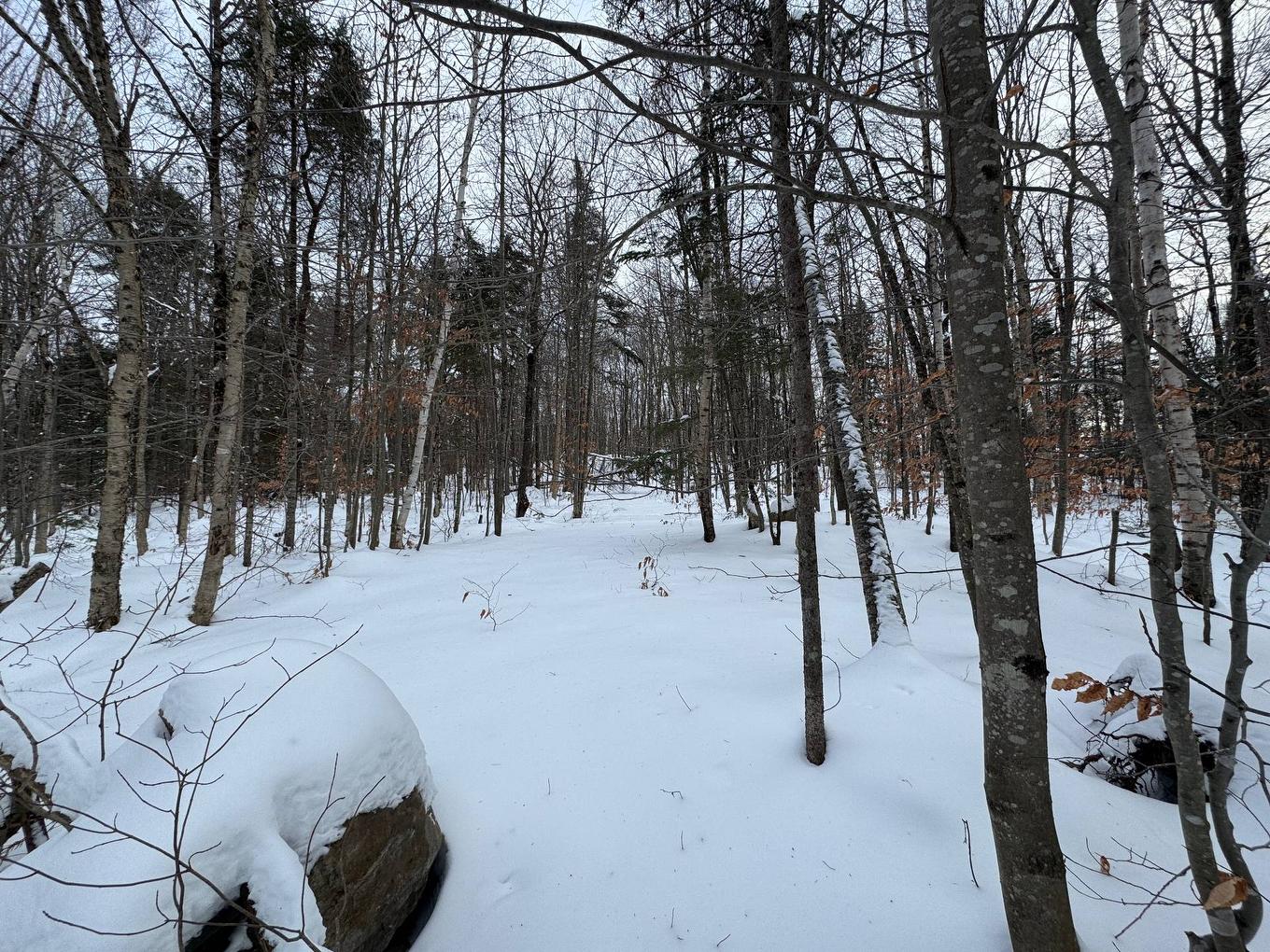 Land/Lot - Rue Des Violettes, Gore, QC
