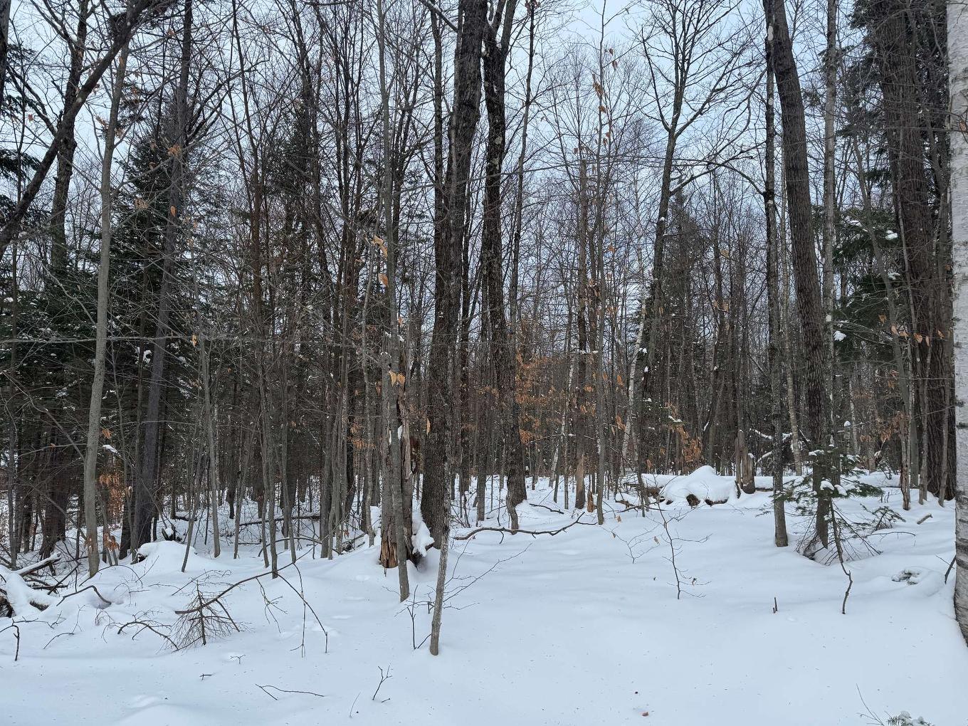 Land/Lot - Rue Des Violettes, Gore, QC