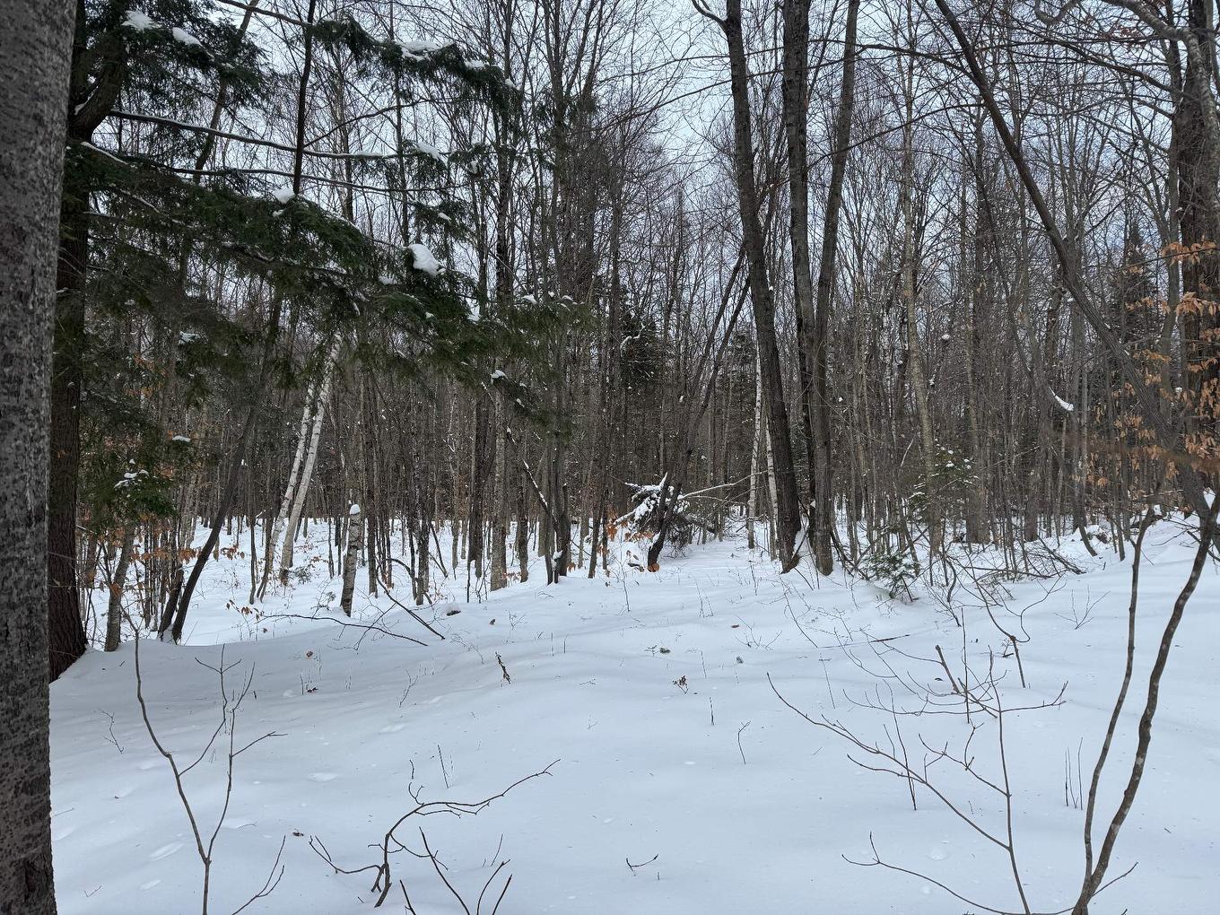 Land/Lot - Rue Des Violettes, Gore, QC