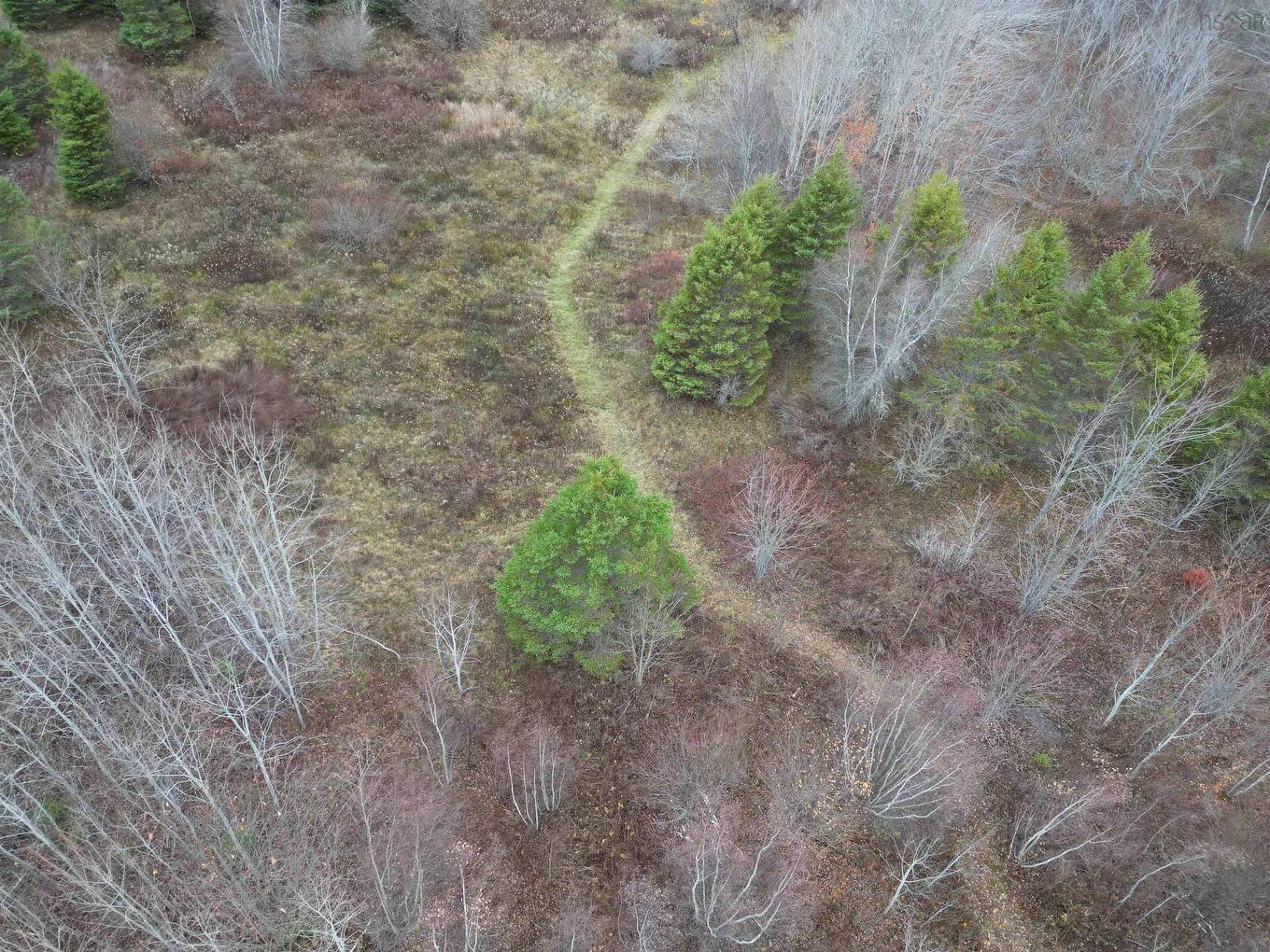 255 Varner Mountain Road, Nictaux South, NS