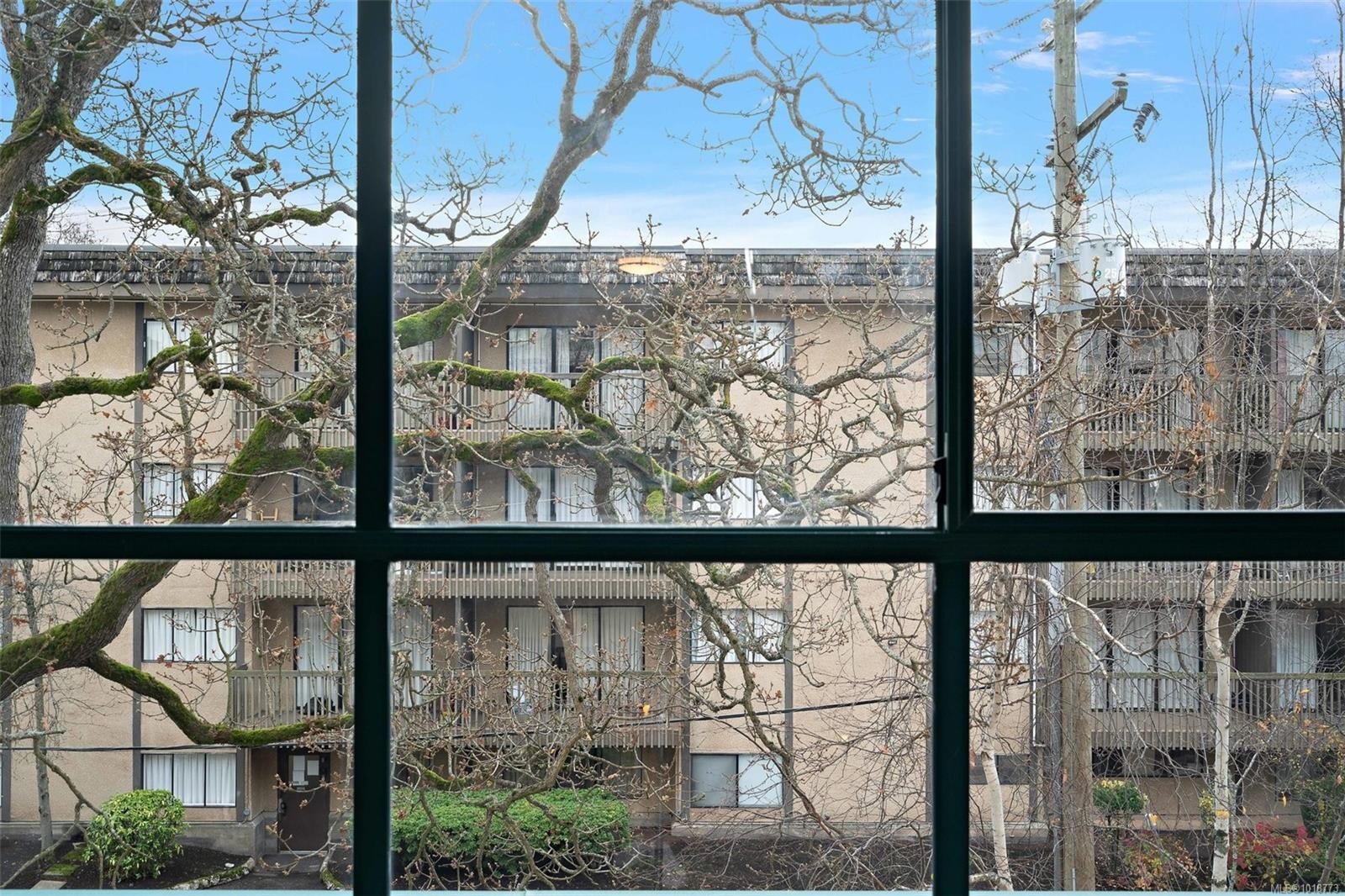 209-3460 Quadra St, Victoria, BC - Outdoor