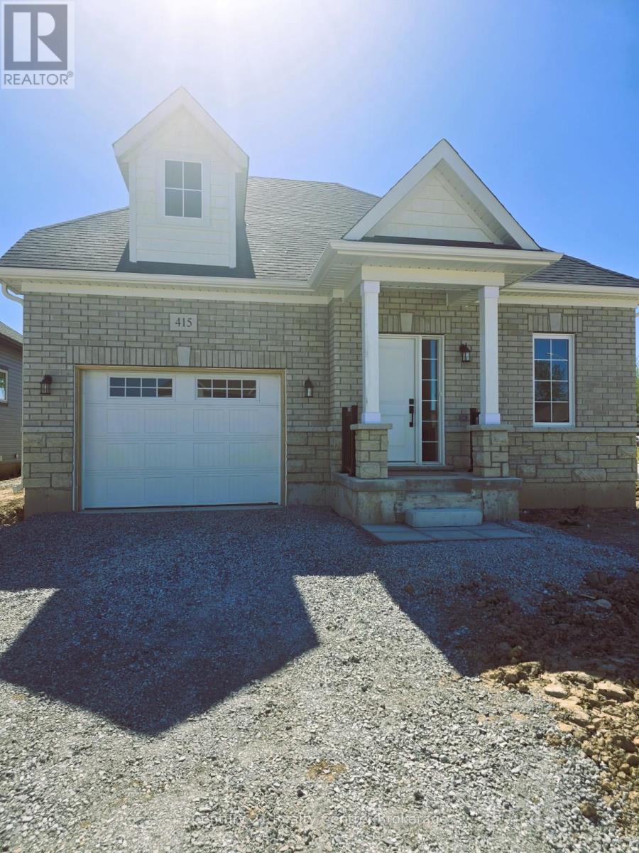 Main Level - 415 Louisa Street, Fort Erie, ON - Outdoor