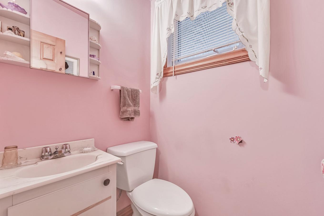 Powder room - 100 Rue Berton, Saint-Blaise-Sur-Richelieu, QC - Indoor Photo Showing Bathroom