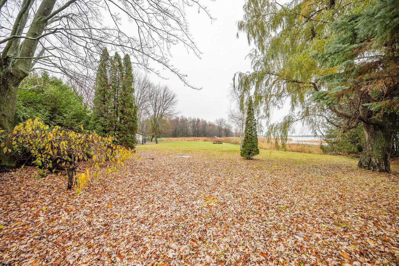 Backyard - 100 Rue Berton, Saint-Blaise-Sur-Richelieu, QC - Outdoor