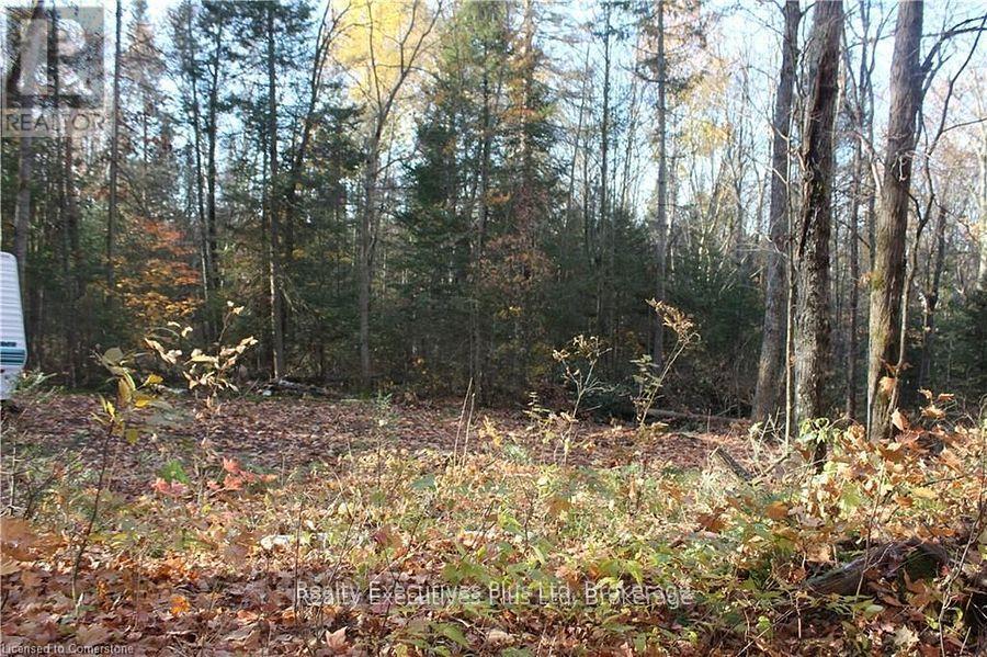 00 Ottawa Avenue, Machar, ON