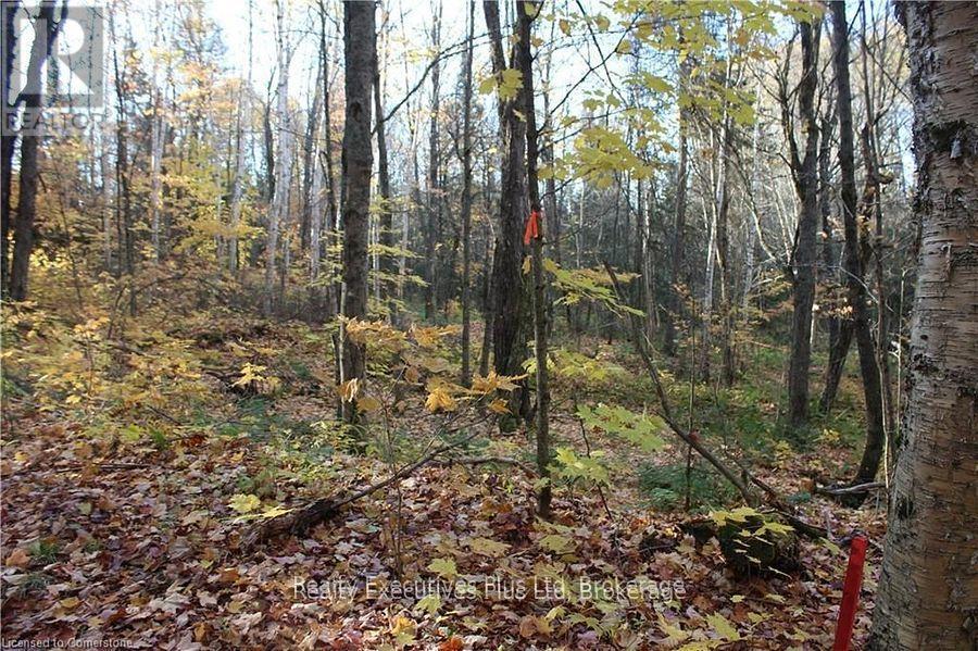 00 Ottawa Avenue, Machar, ON