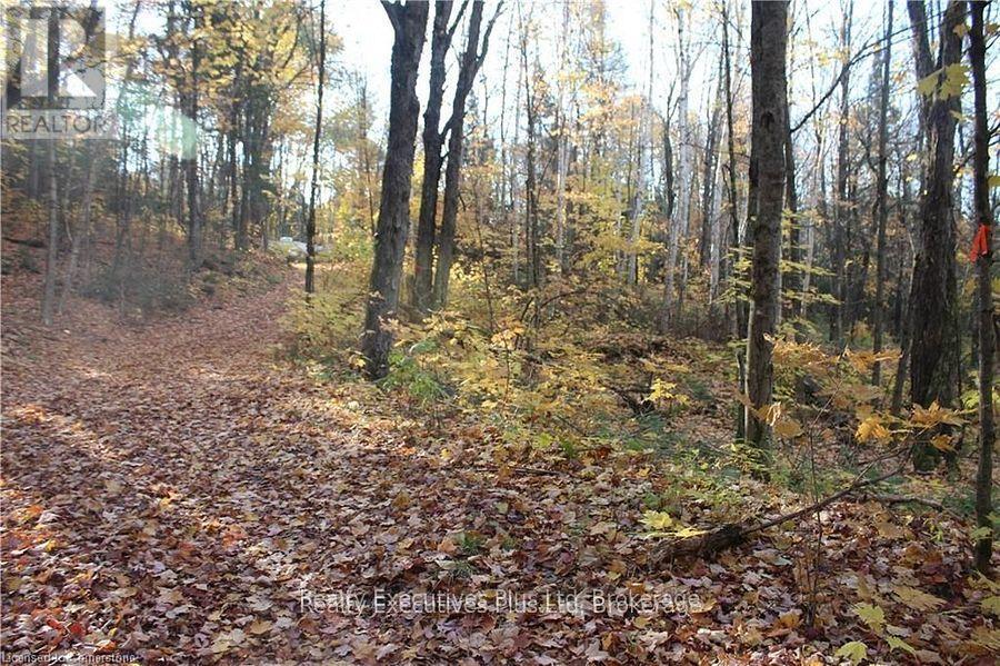 00 Ottawa Avenue, Machar, ON