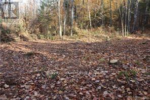 00 Ottawa Avenue, Machar, ON