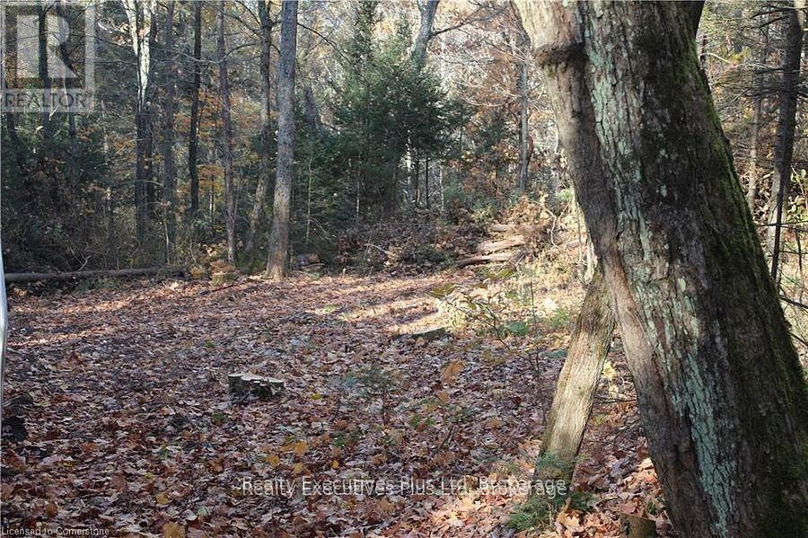 00 Ottawa Avenue, Machar, ON