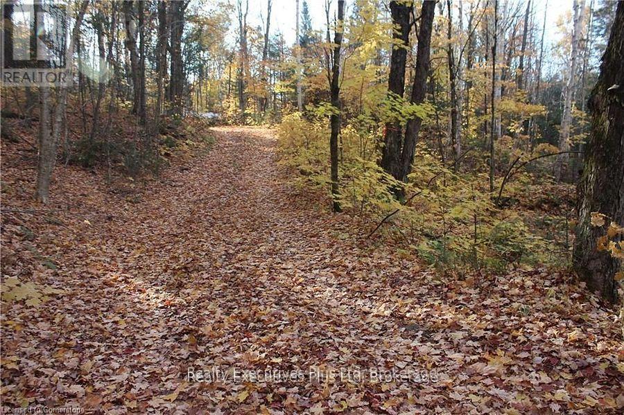 00 Ottawa Avenue, Machar, ON