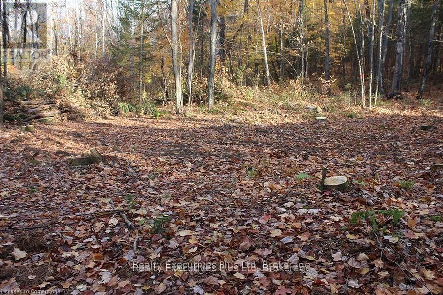 00 Ottawa Avenue, Machar, ON