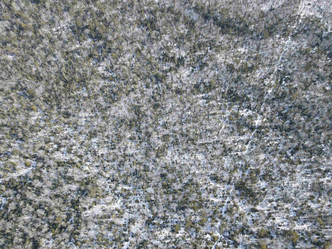 Vacant Land Highway 3, East Jordan, NS