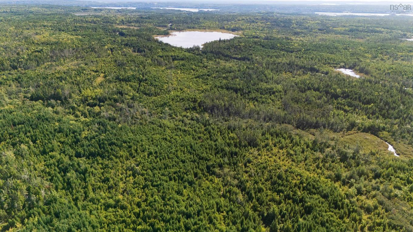 Lots Pettipas Lane, East Chezzetcook, NS