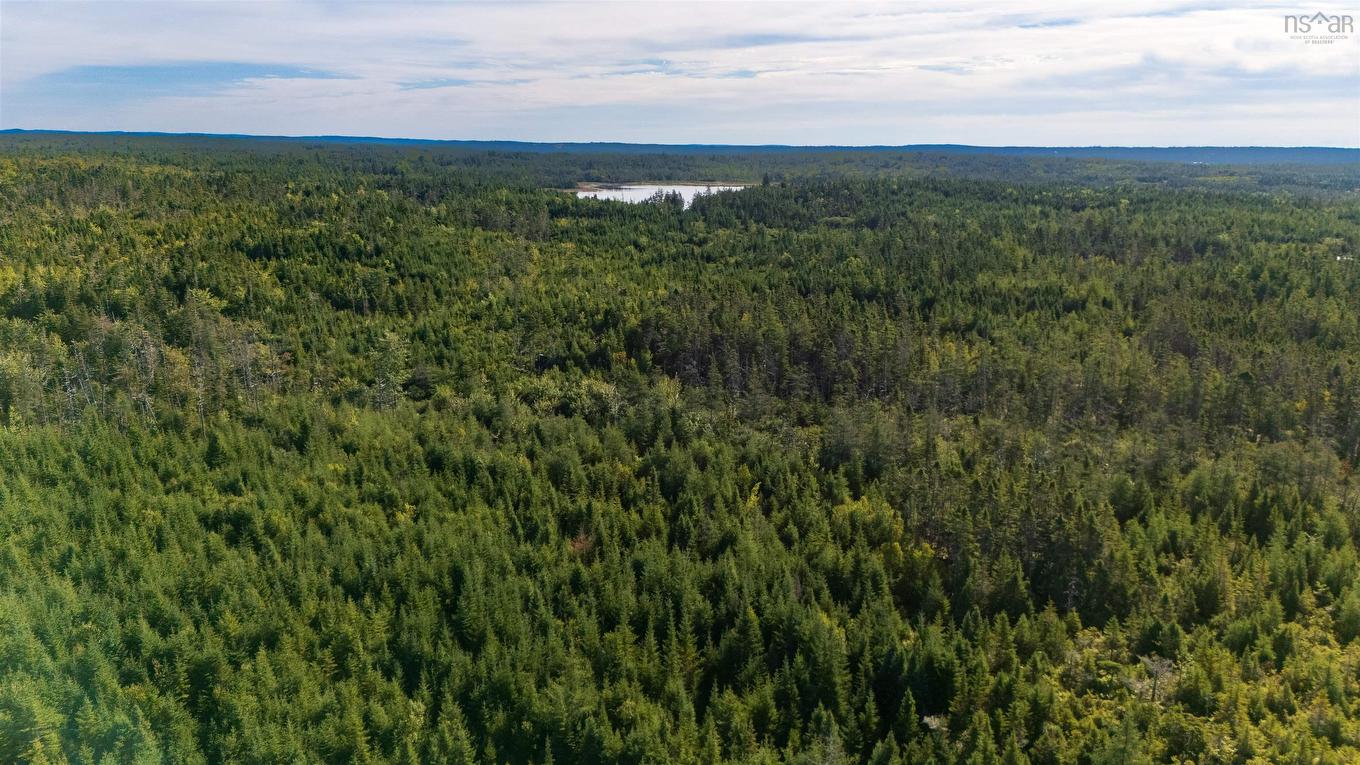 Lots Pettipas Lane, East Chezzetcook, NS