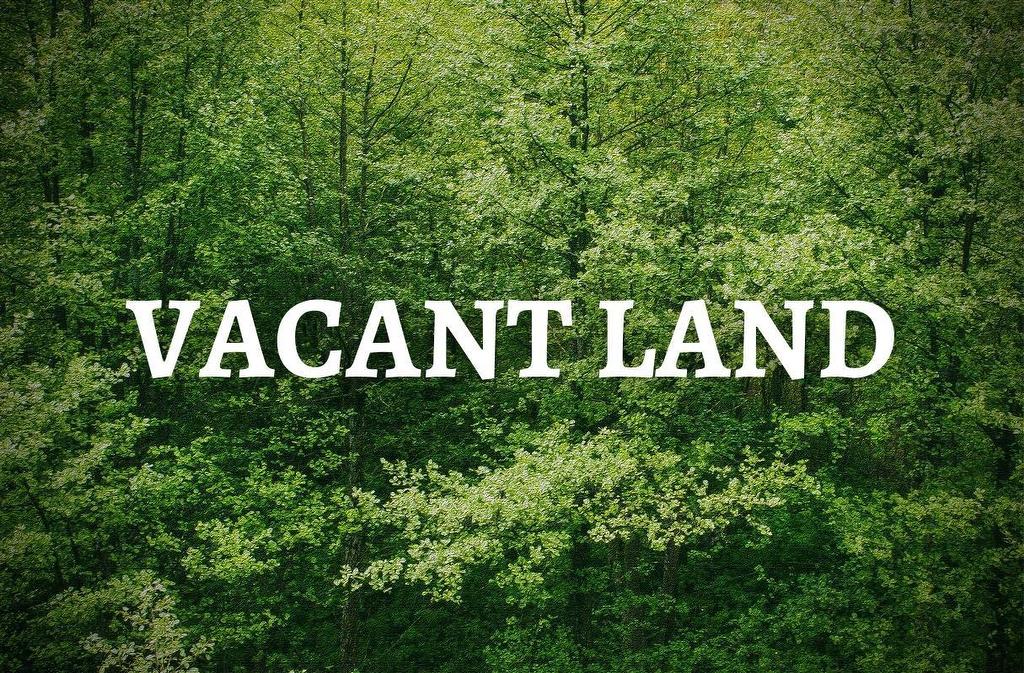 Lots Pettipas Lane, East Chezzetcook, NS