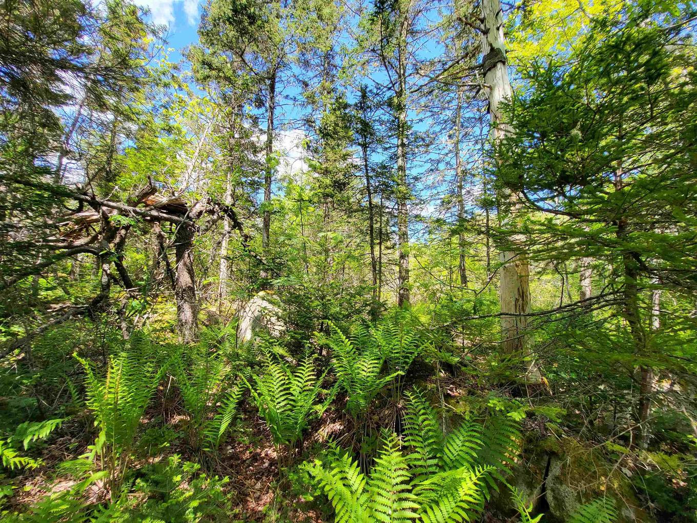 Lot C4 Everetts Way, Hunts Point, NS