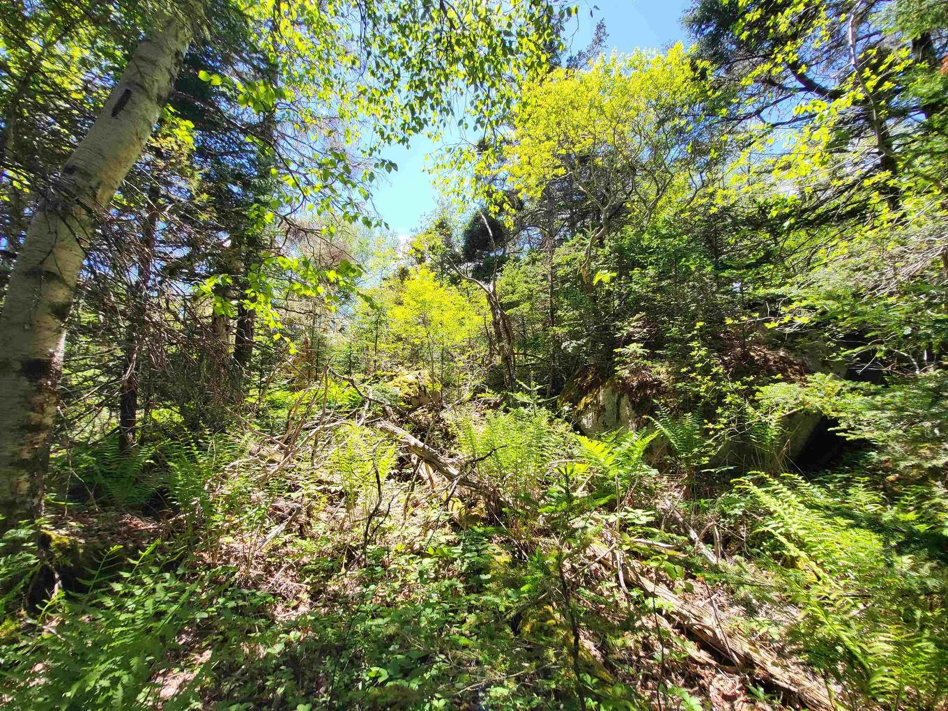 Lot C4 Everetts Way, Hunts Point, NS