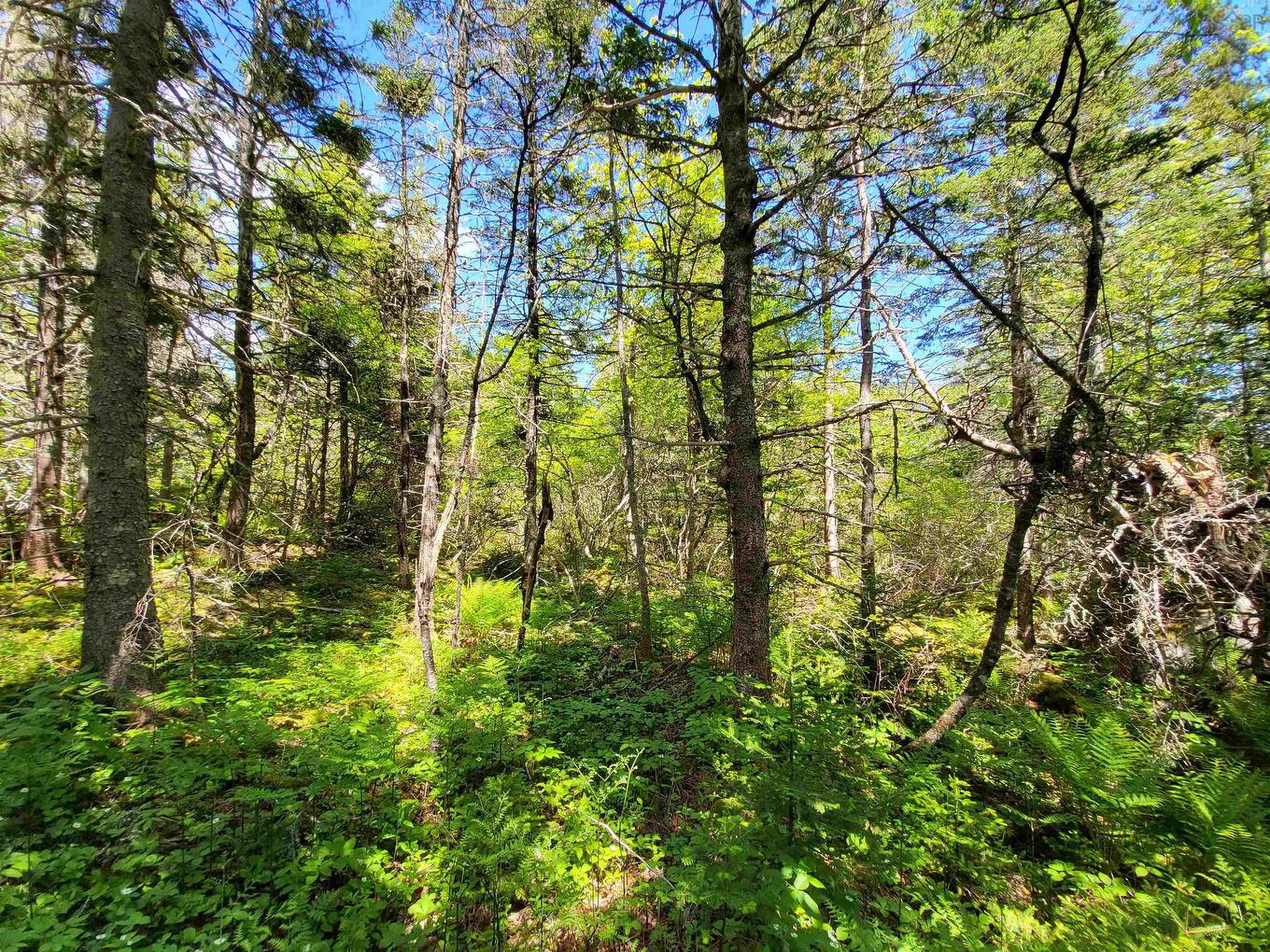 Lot C4 Everetts Way, Hunts Point, NS